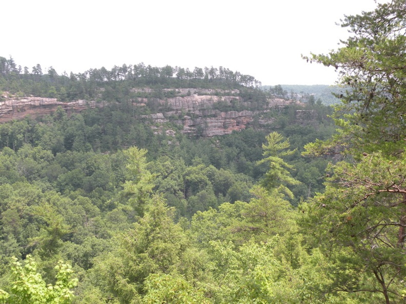 Gladie Creek, Red River Gorge